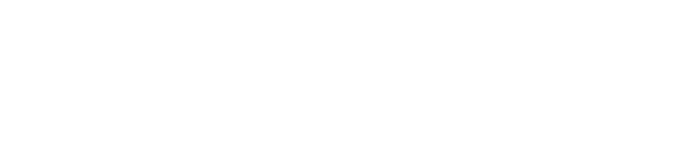 holiday-hype-low-resolution-logo-white-on-transparent-background